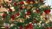 10.000 adornos componen la decoración navideña de la Casa Blanca
