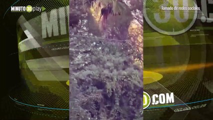 Niño de 6 años cayó de un canopy que se rompió milagrosamente está ileso