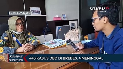 446 Warga Brebes Terserang DBD, 4 Meninggal! Waspada!