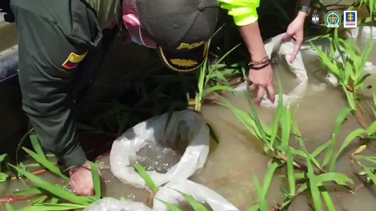 05-07-21 judicializan a seis personas involucradas en pesca ilegal en Vichada