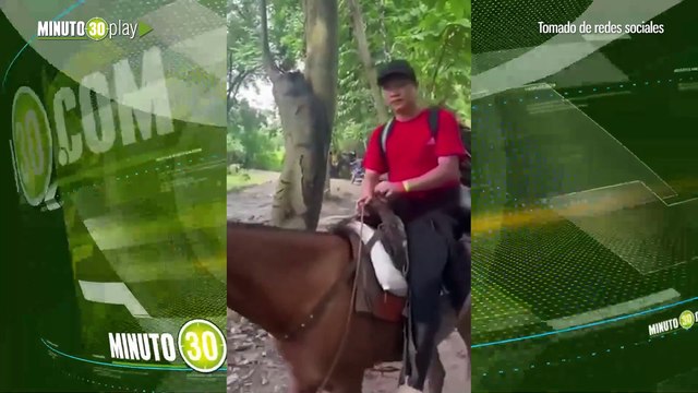Asiáticos cruzan a caballo el Darién