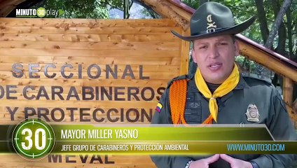 Desarticulada estructura delincuencial dedicada a la estafa de ganaderos y porcicultores
