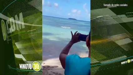 Ahora uno no puede comer tranquilo tiburón a humanos que le quitaron la presa en San Andrés