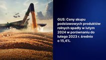 Ceny produktów rolnych luty 2024