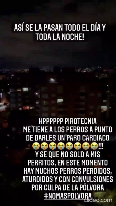 Carmen Villalobos denuncia en sus redes sociales el uso excesivo de pólvora y pide conciencia por los animales