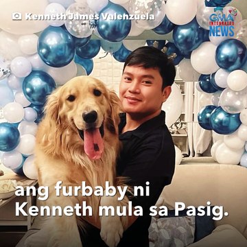 Asong inakalang nasasaktan, nagpapakitang-gilas pala?! | GMA Integrated Newsfeed