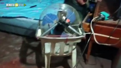 Gastritis ya no seguirá en las calles, fue captu