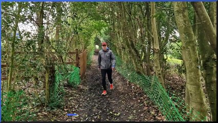 Discover How Walking Can Prevent Deadly Diseases 🚶‍♂️