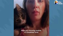#CUTE: El gato está muy involucrado en la rutina diaria de su madre