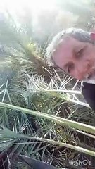 haji rmzan MIHNAT KRNIY WALA ADMI