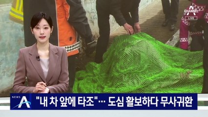 “내 차 앞에 타조”…도심 활보하다 무사귀환