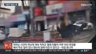 '옆 차선에 타조가'…성남 도심서 '타돌이' 탈출 소동