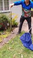 #OMG: Un cazador de serpientes elimina dos serpientes marrones del patio trasero