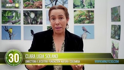 Se encontró una nueva especie de salamandra en área protegida en Cundinamarca Parte 2 Sin AP