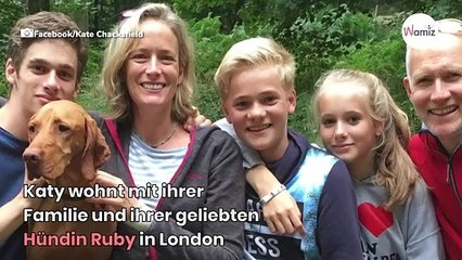 Familienhund stirbt an etwas, das viele von uns in der Küche haben