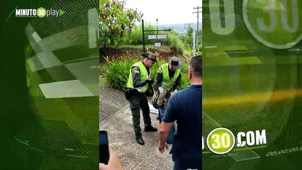 En Cali y Jamundí la Policía Ambiental rescató a dos Boas