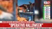 Operativo Halloween: incautaron 800 kilos de cocaína... ¡escondidos en zapallos!