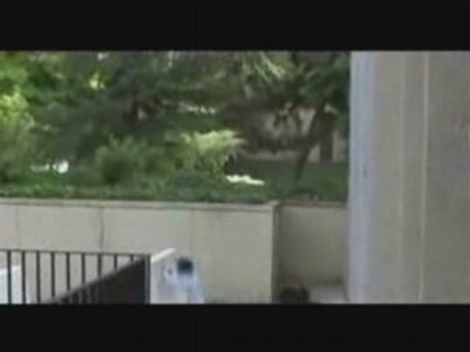 Backflip Faceplant Off Concrete Barrier