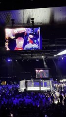 Así es desde dentro el WOW MMA en el Cartuja Center CITE de Sevilla que colgó “sold out”