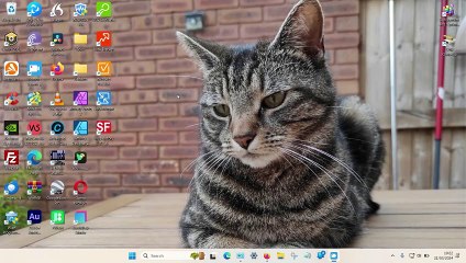 How to Enable Middle Mouse Button on a Touchpad Using Windows 11