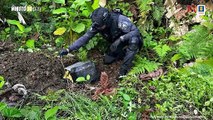 Autoridades ubicaron y destruyeron material explosivo encontrado en zona rural de Nariño