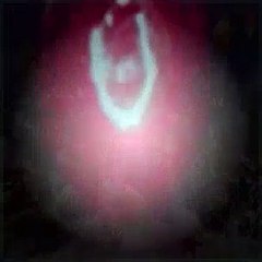 Big Time Rush Season 1 Episode 12 Big Time Blogger