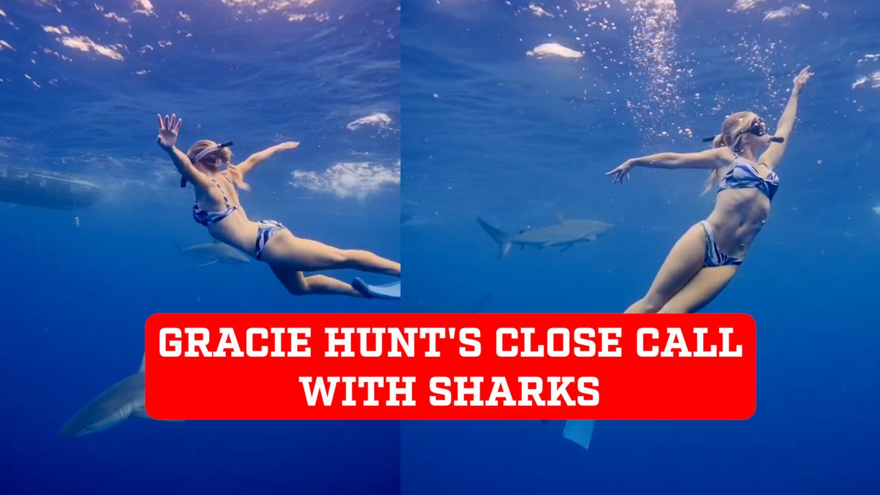Gracie Hunt's close encounter in open ocean swim with sharks