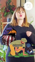 Il tente de l'éliminer avec une grenouille toxique ?