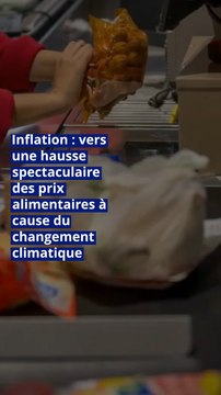 Inflation : vers une hausse spectaculaire des prix alimentaires à cause du changement climatique