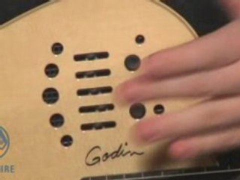 Godin Multiac Nylon Fretless and Boss ME-50