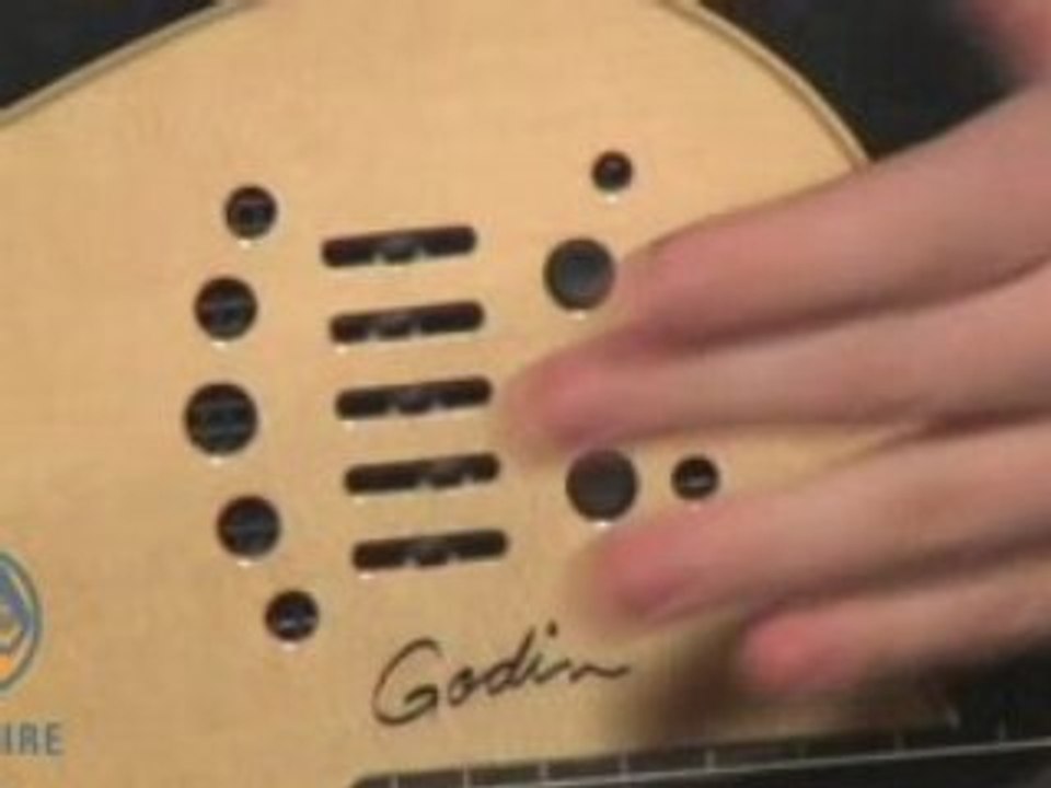 Godin Multiac Nylon Fretless and Boss ME-50