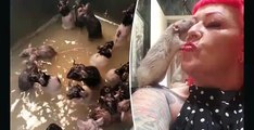 #OMG: Michele Raybon y sus 50 ratas mascotas