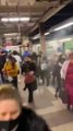 Panico se apodera de la estacion en Brooklyn tras tiroteo y posible ataque bomba