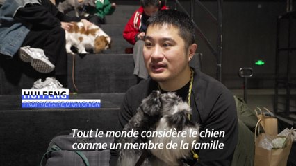 En Chine, des dog-models stars d'un défilé de mode