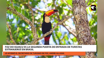 Foz do Iguaçu es la segunda puerta de entrada de turistas extranjeros en Brasil