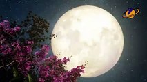 Eclipse Lunar 15-16 de mayo - Luna de Sangre
