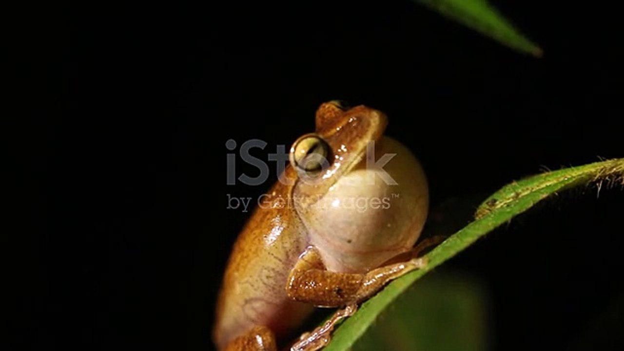 istockphoto-1362946451-640_adpp_is
