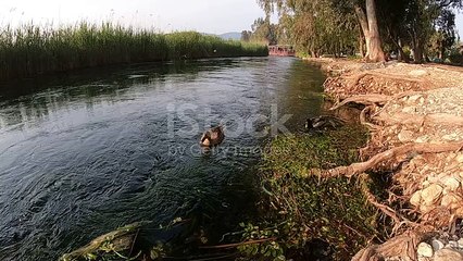 istockphoto-1318984732-640_adpp_is