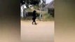 #VIRAL: Cabra negra caminando sobre sus dos patas como un humano EL DIABLO?