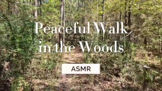 Peaceful Walk in the Woods (ASMR - No Talking, No Music)