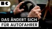 Cannabis am Steuer? Das ändert sich im April für Autofahrer