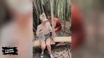 #VIRAL: Orangutan de zoologico toca el pecho de una mujer y tambien la beso