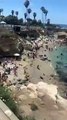#VIRAL: Focas corren a turistas de las playas en La Joya