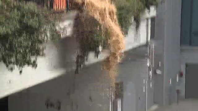 Protestas en Bruselas durante la reunión del Consejo de Ministros de Agricultura