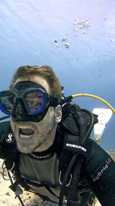 Small Fish Cleans Scuba Diver's Ears