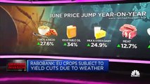 Los precios de los alimentos podrían subir cuando termine el corredor de cereales de Ucrania, según un analista de Rabobank