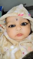 Quit bebi video। Deer Babe  । Viral boy। bebi short।