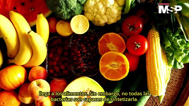 ¿Cuál es la relación entre la tuberculosis y los niveles de B12? - #EspecialMSP