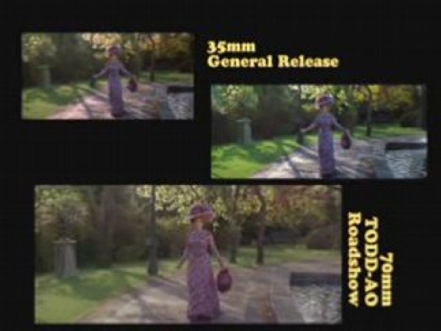 Dolly comparison