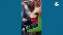 Captan brutal pelea entre mujeres en vagón de la Línea 9 del Metro